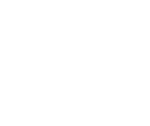Hotel President Solin